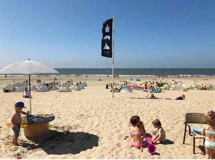 Appartement Zuyd Zandvoort Exterior foto